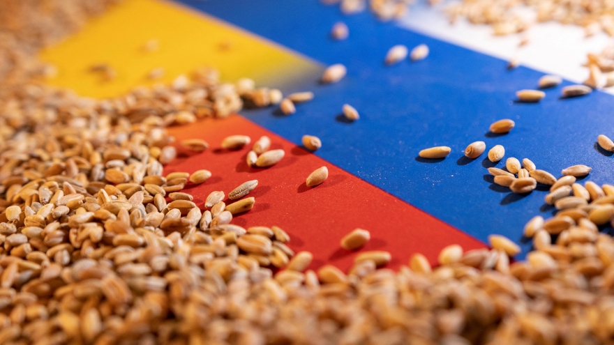 Thỏa thuận ngũ cốc Biển Đen sụp đổ đe dọa “giỏ bánh mì” của nhiều nước